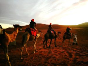 Camel Ride in desert camp Merzouga